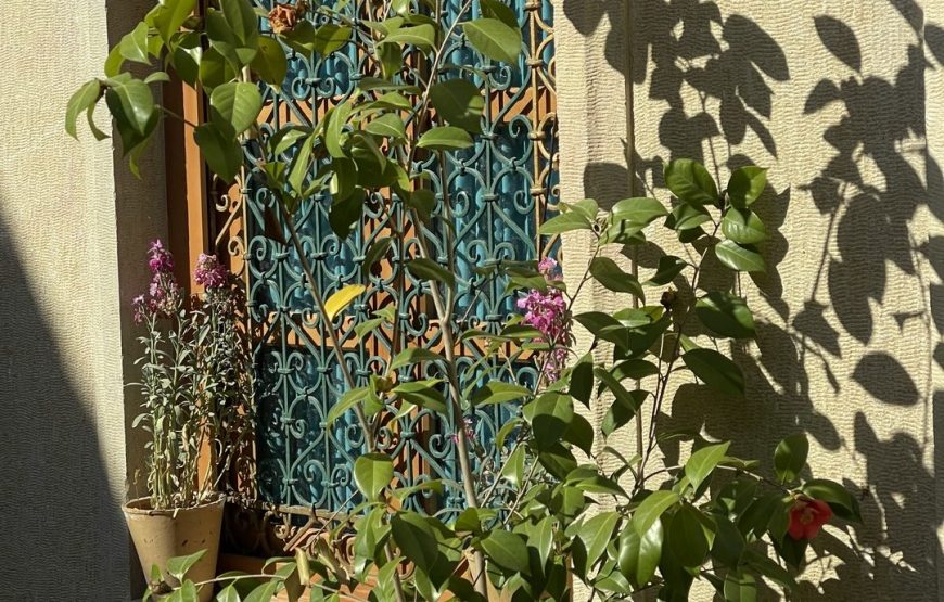 بوتیک هتل جهانشاهی