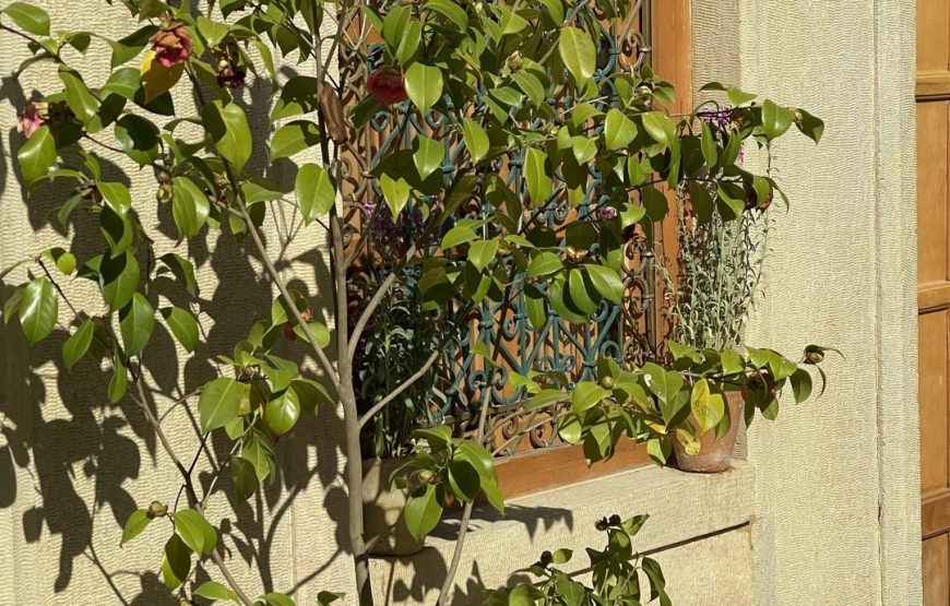 بوتیک هتل جهانشاهی